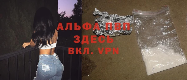 прущие грибы Инсар