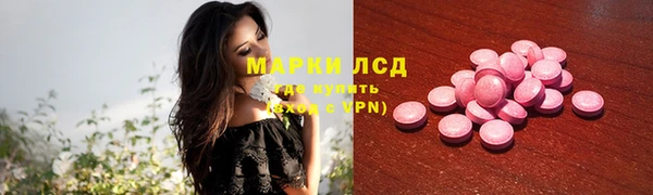 прущие грибы Инсар
