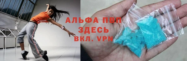 прущие грибы Инсар