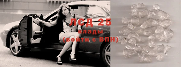 прущие грибы Инсар