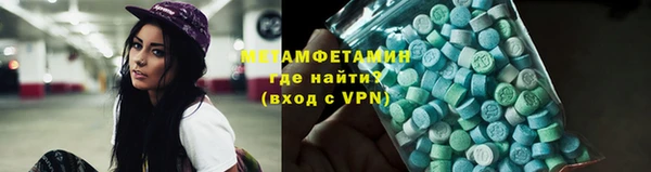 прущие грибы Инсар