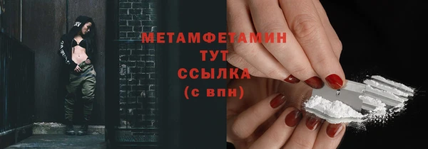 прущие грибы Инсар