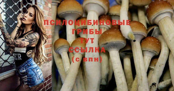 метамфетамин Инта