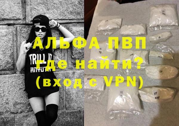 прущие грибы Инсар