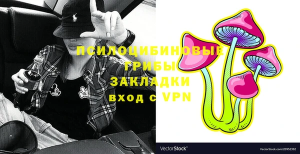 прущие грибы Инсар