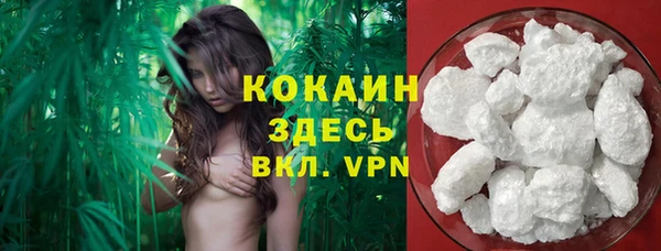 прущие грибы Инсар