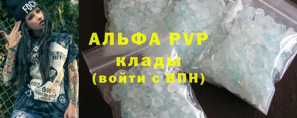 прущие грибы Инсар